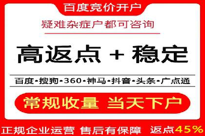 某品牌通过百度广告实现快速增长的案例